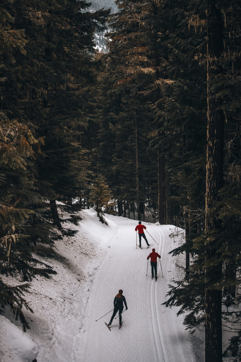 Northern Endurance: Cross-Country Skiing in the Canadian Mountains